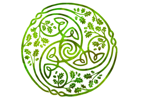 Down to Earth Forest School- Scoil na Coille